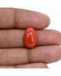 Japanese Red Coral (Moonga) 9.83 Carat 