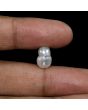 Keshi Pearl (Moti) 7.21 Carat 