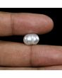 Keshi Pearl (Moti) 7.21 Carat 