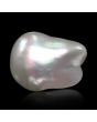 Keshi Pearl (Moti) 7.64 Carat 