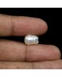 Keshi Pearl (Moti) 7.64 Carat 