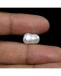 Keshi Pearl (Moti) 6.66 Carat 