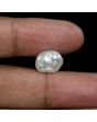 Keshi Pearl (Moti) 7.9 Carat 