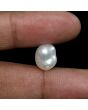 Keshi Pearl (Moti) 7.9 Carat 