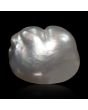 Keshi Pearl (Moti) 5.43 Carat 