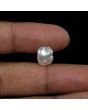 Keshi Pearl (Moti) 5.43 Carat 