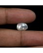 Keshi Pearl (Moti) 6.22 Carat 