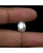 Keshi Pearl (Moti) 6.22 Carat 