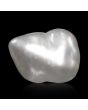 Keshi Pearl (Moti) 4.44 Carat 