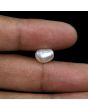 Keshi Pearl (Moti) 3.78 Carat 