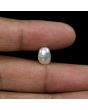 Keshi Pearl (Moti) 3.78 Carat 
