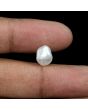 Keshi Pearl (Moti) 3.38 Carat 