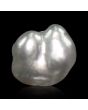 Keshi Pearl (Moti) 7.86 Carat 
