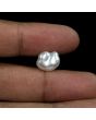Keshi Pearl (Moti) 7.86 Carat 