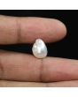 Keshi Pearl (Moti) 8.06 Carat 
