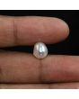 Keshi Pearl (Moti) 5.32 Carat 