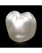 Keshi Pearl (Moti) 5.05 Carat 