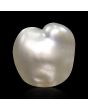 Keshi Pearl (Moti) 5.05 Carat 