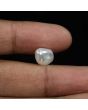 Keshi Pearl (Moti) 5.96 Carat 