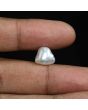 Keshi Pearl (Moti) 6.67 Carat 