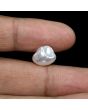 Keshi Pearl (Moti) 6.12 Carat 