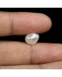 Keshi Pearl (Moti) 4.43 Carat 