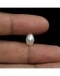 Keshi Pearl (Moti) 3.59 Carat 