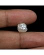 Keshi Pearl (Moti) 5.51 Carat 