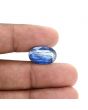 Blue Kyanite 7.92 Carat 
