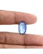 Blue Kyanite 7.92 Carat 