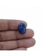 Lapis Lazuli 10.84 Carat 