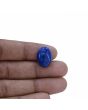 Lapis Lazuli 13.41 Carat 
