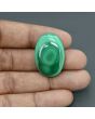 Malachite (Kidney Stone) 53.22 Carat 