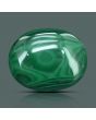 Malachite (Kidney Stone) 48.72 Carat 