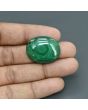Malachite (Kidney Stone) 48.72 Carat 