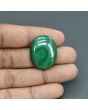 Malachite (Kidney Stone) 48.72 Carat 