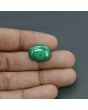 Malachite (Kidney Stone) 15.68 Carat 