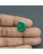 Malachite (Kidney Stone) 16.3 Carat 