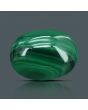 Malachite (Kidney Stone) 15.68 Carat 