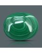 Malachite (Kidney Stone) 16.5 Carat 