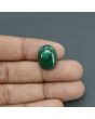 Malachite (Kidney Stone) 18.17 Carat 