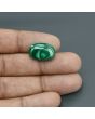 Malachite (Kidney Stone) 14.96 Carat 