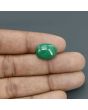 Malachite (Kidney Stone) 13.3 Carat 