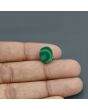 Malachite (Kidney Stone) 9.15 Carat 