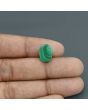 Malachite (Kidney Stone) 8.31 Carat 