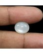 Moonstone 9.6 Carat 