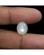 Moonstone 7.74 Carat 