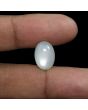 Moonstone 8.78 Carat 