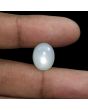 Moonstone 7.65 Carat 