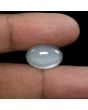 Moonstone 8.64 Carat 